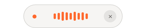 The small floating recorder at the bottom of the screen while you talk